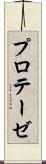 プロテーゼ Scroll