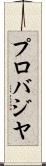 プロバジヤ Scroll