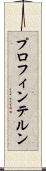 プロフィンテルン Scroll