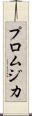 プロムジカ Scroll