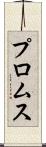 プロムス Scroll