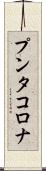 プンタ・コロナ Scroll