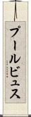 プールビュス Scroll