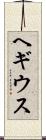 ヘギウス Scroll