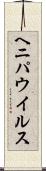 ヘニパウイルス Scroll