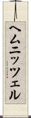 ヘムニッツェル Scroll
