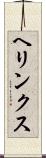 ヘリンクス Scroll