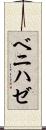 ベニハゼ Scroll