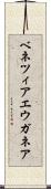 ベネツィアエウガネア Scroll