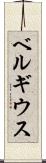 ベルギウス Scroll
