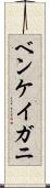 ベンケイガニ Scroll