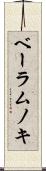 ベーラムノキ Scroll