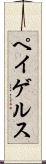 ペイゲルス Scroll