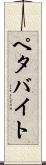 ペタバイト Scroll