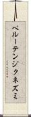 ペルーテンジクネズミ Scroll