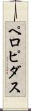 ペロピダス Scroll