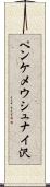 ペンケメウシュナイ沢 Scroll