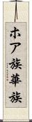 ホア族 Scroll