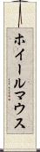 ホイールマウス Scroll