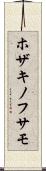 ホザキノフサモ Scroll