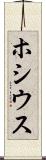 ホシウス Scroll