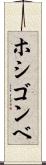 ホシゴンベ Scroll
