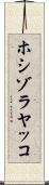 ホシゾラヤッコ Scroll