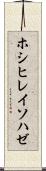 ホシヒレイソハゼ Scroll