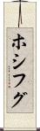 ホシフグ Scroll