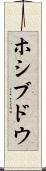 ホシブドウ Scroll