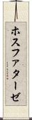 ホスファターゼ Scroll