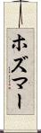 ホズマー Scroll