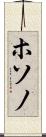 ホソノ Scroll