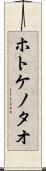 ホトケノタオ Scroll