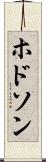 ホドソン Scroll