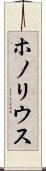 ホノリウス Scroll