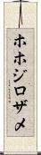 ホホジロザメ Scroll