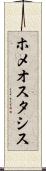ホメオスタシス Scroll