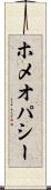 ホメオパシー Scroll