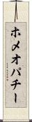 ホメオパチー Scroll