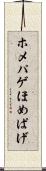 ホメパゲ Scroll