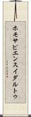 ホモ・サピエンス・イダルトゥ Scroll