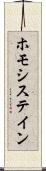 ホモシステイン Scroll