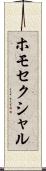ホモセクシャル Scroll