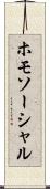 ホモソーシャル Scroll