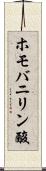 ホモバニリン酸 Scroll