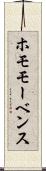 ホモモーベンス Scroll