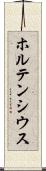 ホルテンシウス Scroll
