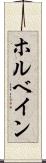 ホルベイン Scroll