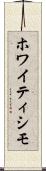 ホワイティシモ Scroll